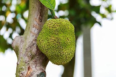 《漫威争锋》支持PS5 Pro强化 支持4K＆120FPS